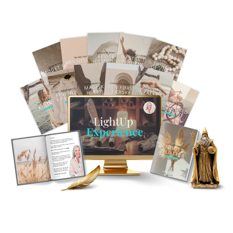 LightUp Experience mockup (1)